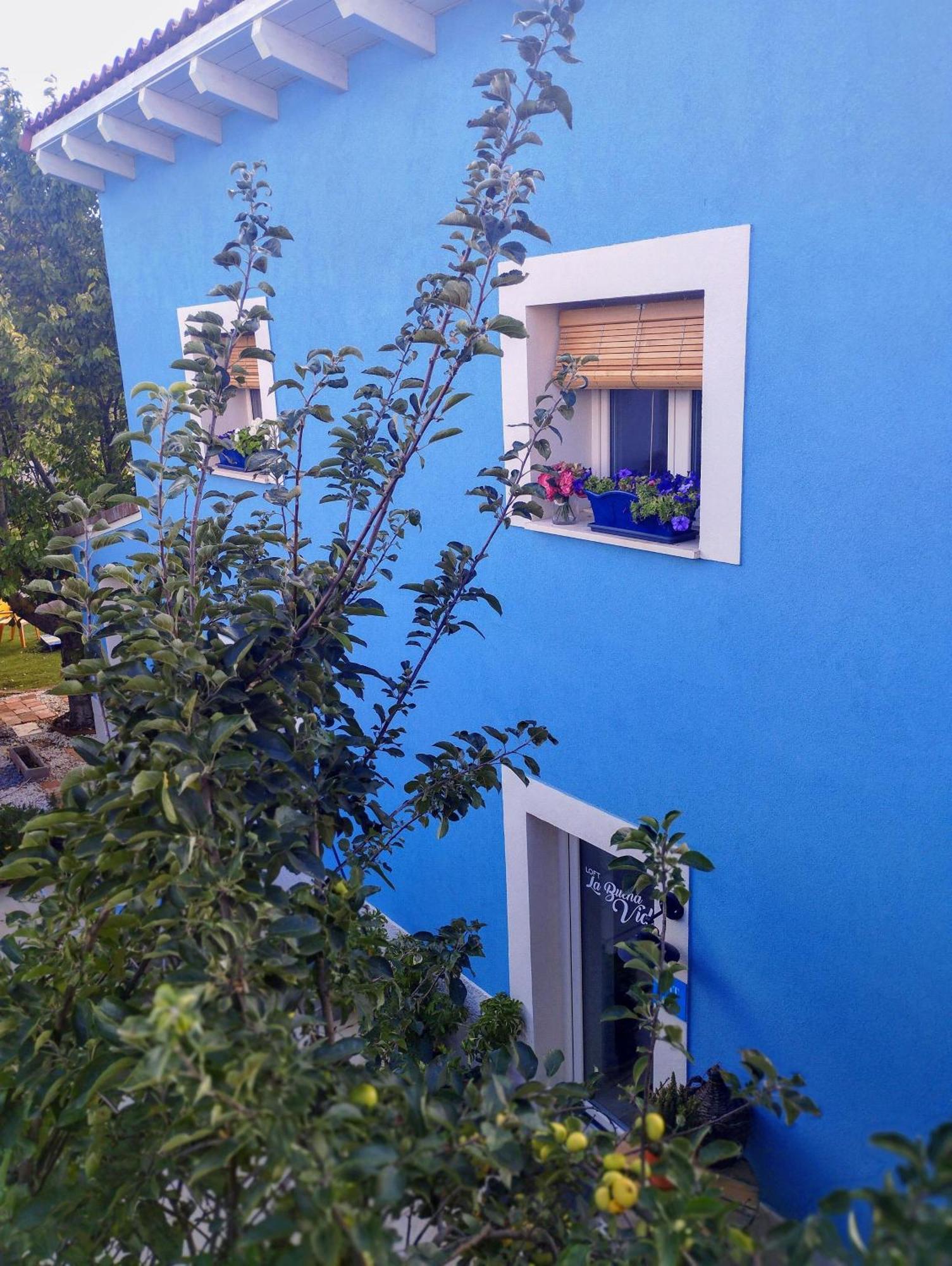 Apartamento Loft La Buena Vida Penaranda de Duero Exterior foto